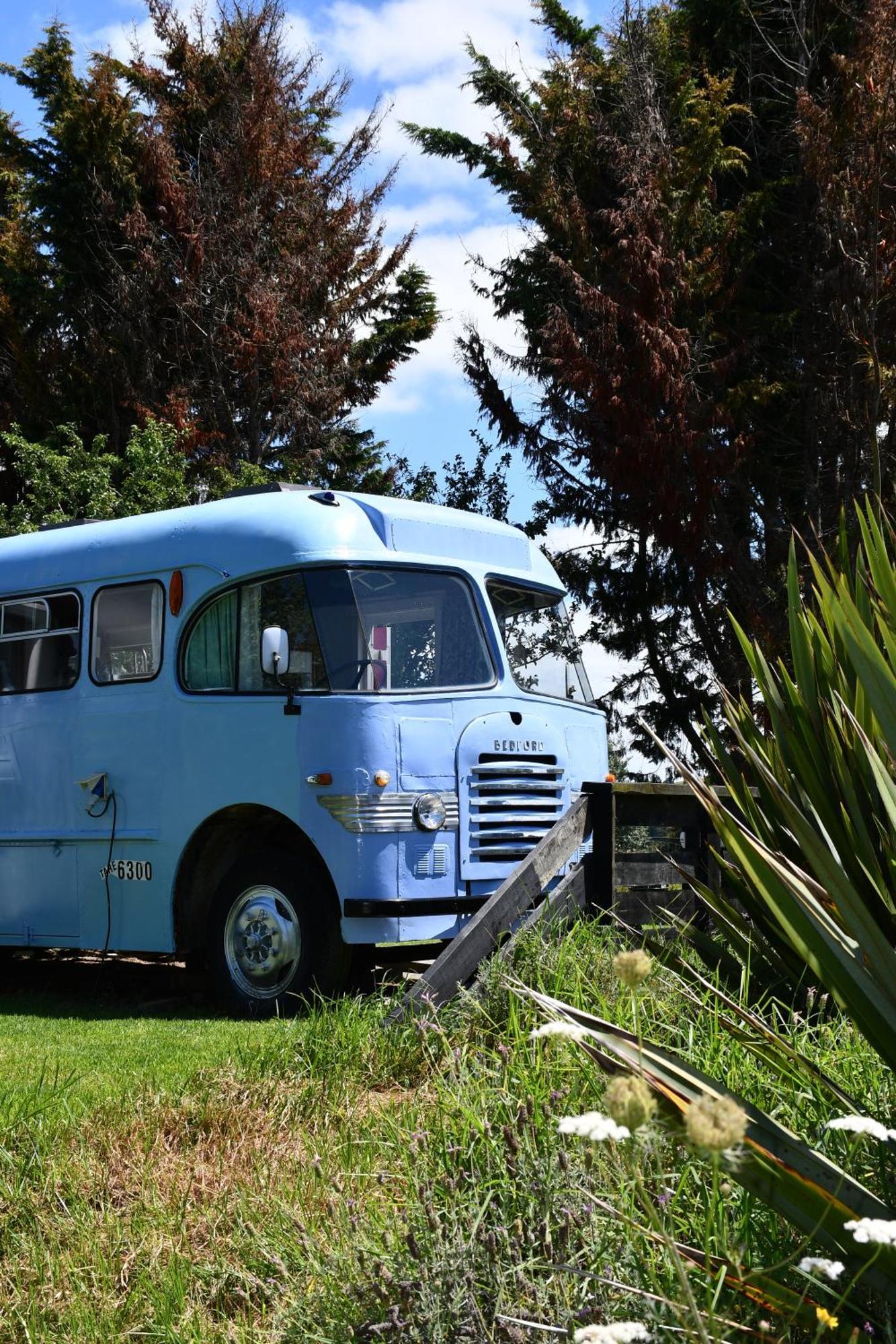 Evi The School Bus At Oromahoe Downs Farm Puketona Eksteriør billede