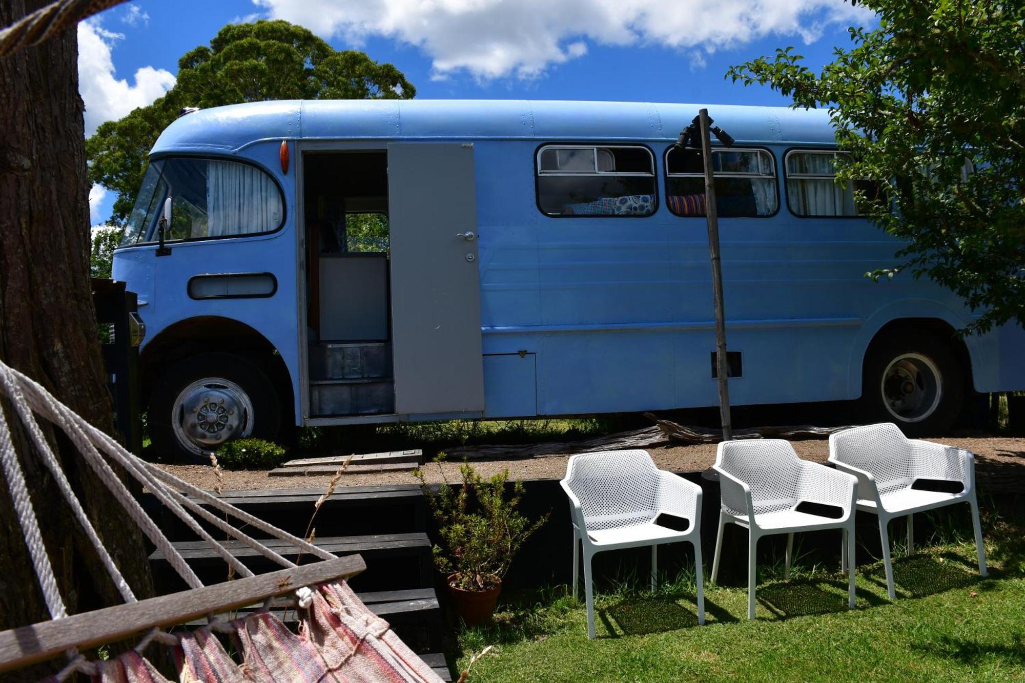 Evi The School Bus At Oromahoe Downs Farm Puketona Eksteriør billede