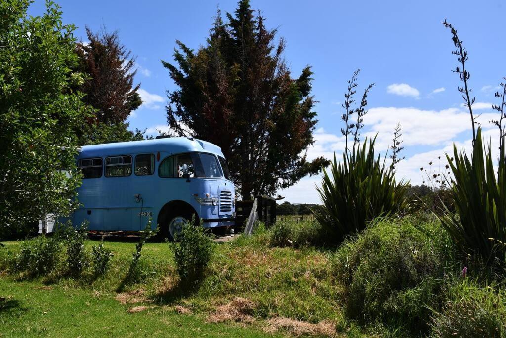 Evi The School Bus At Oromahoe Downs Farm Puketona Eksteriør billede