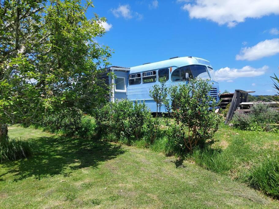 Evi The School Bus At Oromahoe Downs Farm Puketona Eksteriør billede