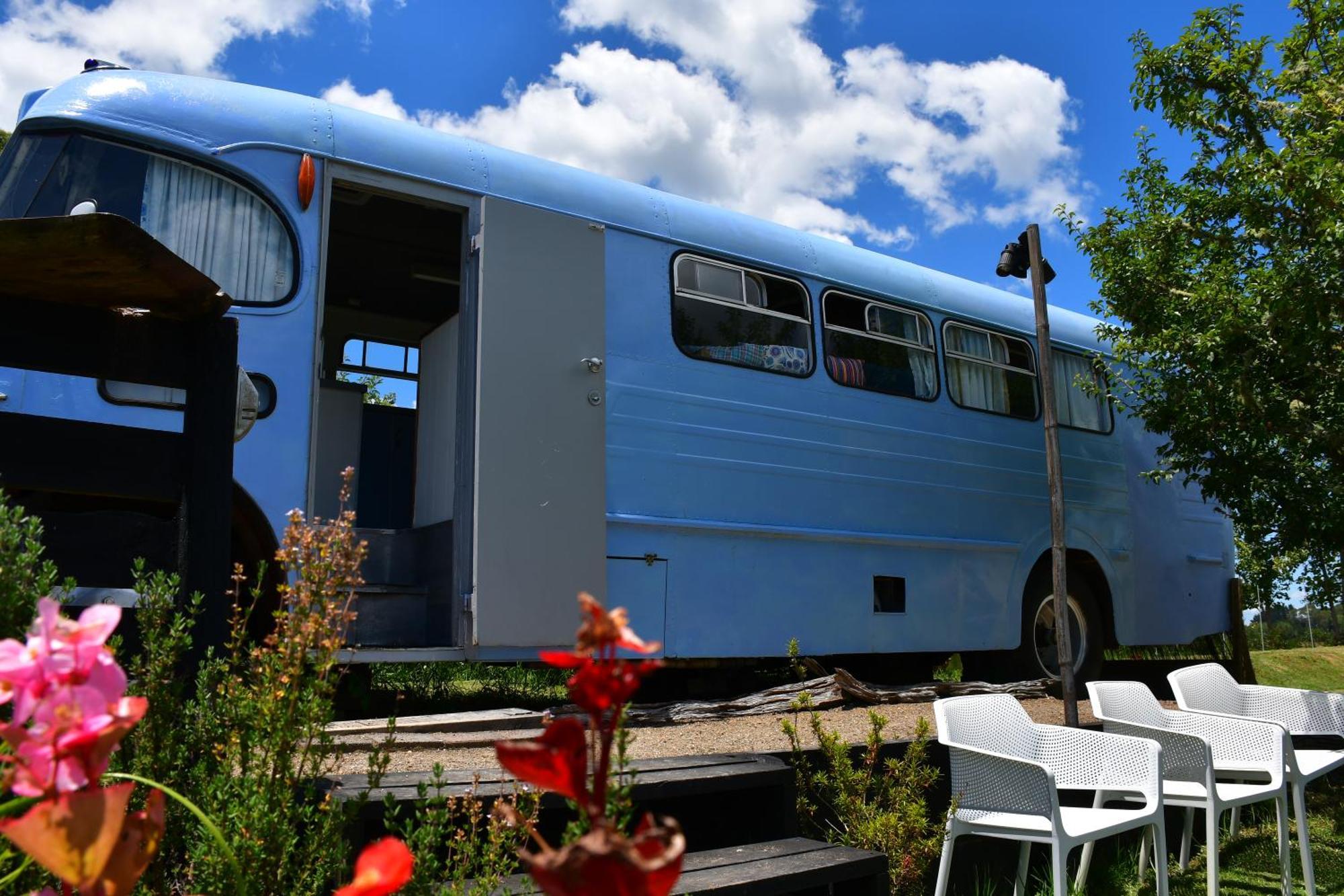 Evi The School Bus At Oromahoe Downs Farm Puketona Eksteriør billede